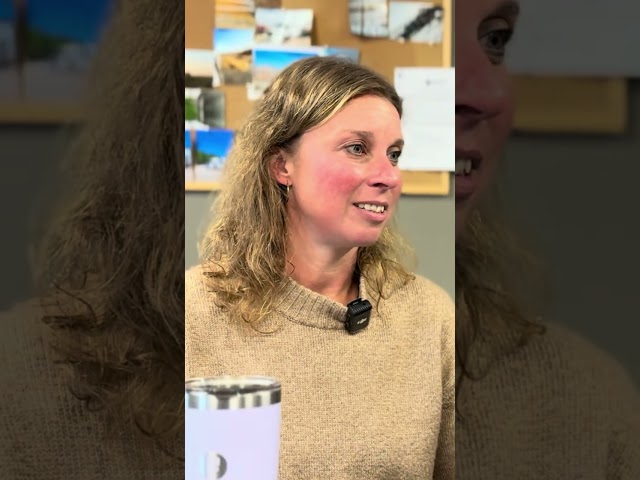 Owner Operator - Livestock Division in Drivers & Security in Moose Jaw