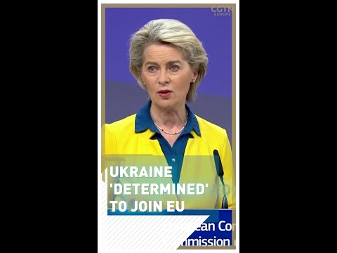 Ukraine 'determined' to join Europe