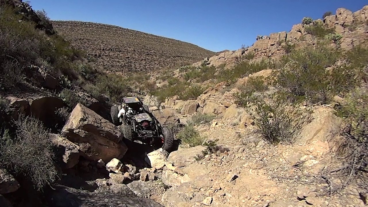 Desert Canyon Crawling!
