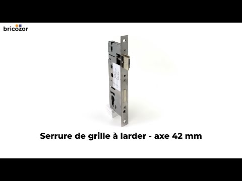 Serrure de grille à larder - pêne dormant et demi-tour réglable - 2560 ASSA ABLOY