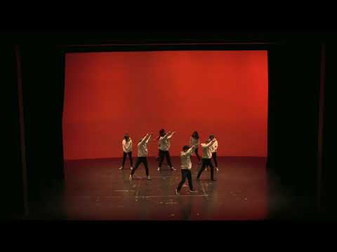 GenAPA 2018: Clarity - Performance - The Project