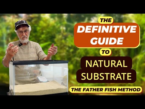 STEP by STEP Building a Natural Substrate #naturalaquarium #deepsubstrate #planted aquarium