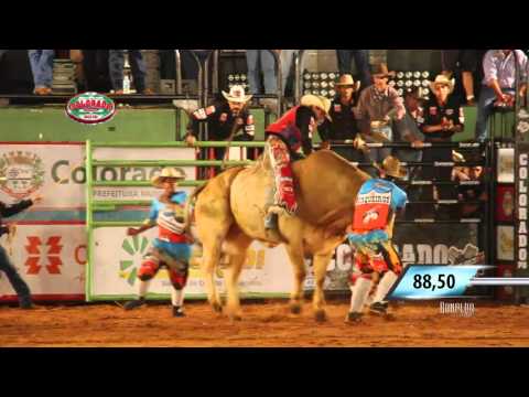 Rodeio de Colorado 2016 - SEXTA FEIRA / MELHORES MONTARIAS EM TOUROS