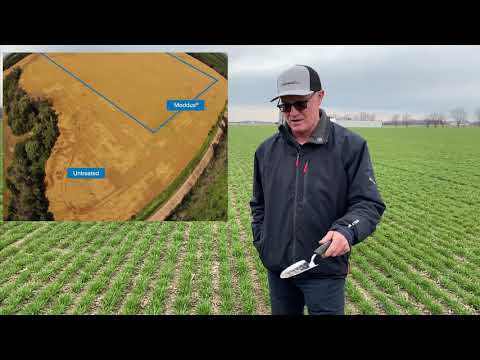 Woolley talks Moddus Timing   April 2021