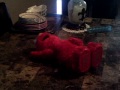 Tickle Me ELMO Part 2