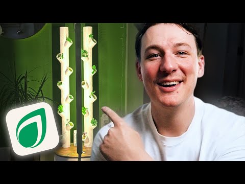 Is The Gardyn Studio Actually Worth The Cost?