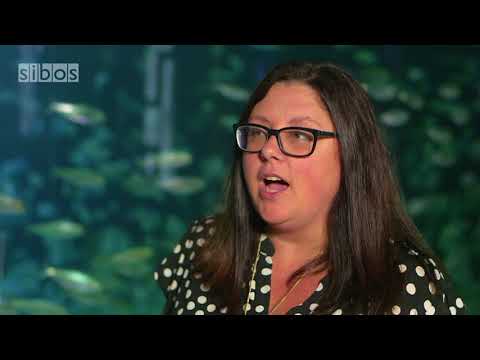 SIBOS TV - GOOD MORNING SIBOS - Monday 16 October 2017