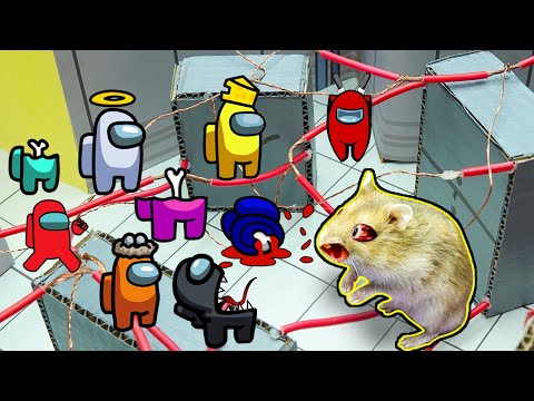 🐹 Hamster impostor Among Us 🐹😱 Hamster Hunting Among Us Maze Traps 😱[OBSTACLE COURSE]😱 + BONUS