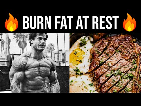 How To Turn Your Body into a Fat Burning Machine (Lose Fat While Doing Nothing)