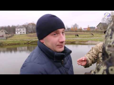 Ліквідація огорожі ставка в селі Коти Яворівського р-н. 12-11-16