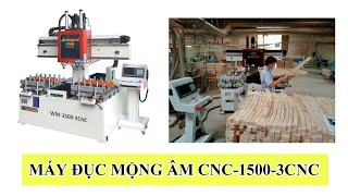Máy làm mộng âm, gia công đa năng Khoan, Lắc mộng, Chạy rãnh, Điêu khắc Woodmaster