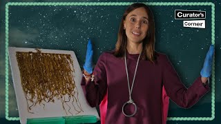 Inca Khipu: The record and writing system made entirely of knots | Curator's Corner S6 Ep9