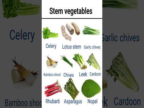 10 Stem Vegetables You Didn't Know Existed ।Stem vegetables names#stem