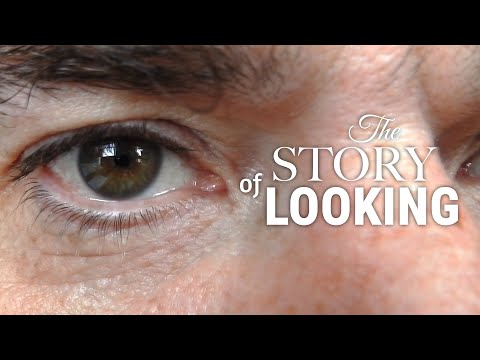 Trailer-Vorschau: The Story of Looking