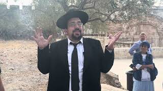 הזמנה לחתונה עם הקב״ה | הרב אליהו ובר (ישיבת הר הבית) - התמונה מוצגת ישירות מתוך אתר האינטרנט יוטיוב. זכויות היוצרים בתמונה שייכות ליוצרה. קישור קרדיט למקור התוכן נמצא בתוך דף הסרטון