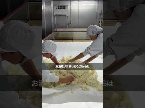 なぜ日本酒造りに？プラズマクラスターが支える酒蔵の裏側：シャープ#shorts