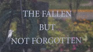 6 The Mansions of the Lord TMC