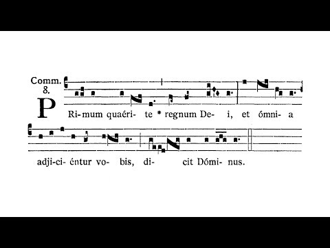 Dominica XIV post Pentecosten (XIV Sunday after Pentecost) - Communio (Primum quaerite)