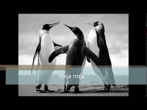 nova musica cigana  inacio 2013 faixa 3