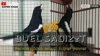 Download lagu DUEL KACER FULL NAGEN SATU TITIK || KACER GACOR TARUNG GAYA DUDUK BIKIN EMOSI LAWAN TARUNG NGOTOT ‼️ mp3