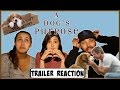 A dog's purpose Official Trailer | Trailer Reaction