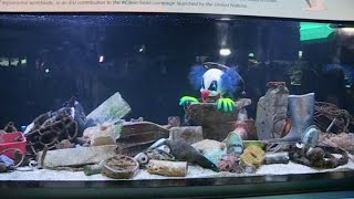 Miniatura do vídeo