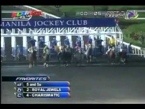 MJCI 080514 R02 5a KING BULL (A)