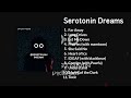 DOWNLOAD LINK BoyWithUke Serotonin Dreams MP3