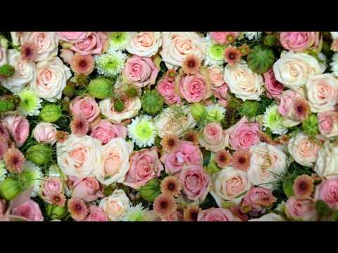 DANIEL HIRTIE - O, UNDE ESTI IUBIRE