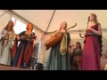 Die Irrlichter live 2010 - der kleine Geigling 