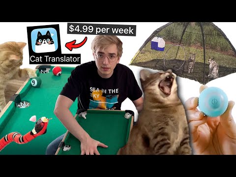 10 Hilarious Cat Toys that Failed to Impress My Cat