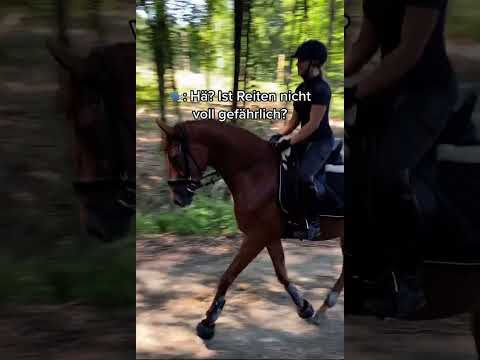 Was war deine schlimmste Verletzung beim Reiten? 🙈  #royalhorsemen #equestrian #horses