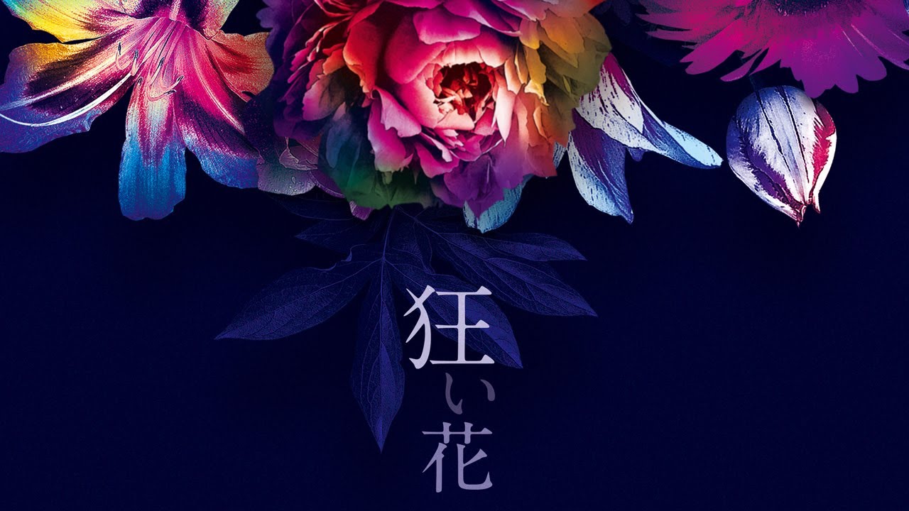 SIRO「狂い花」 Lyric Video（映画「白爪草」主題歌）