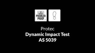 Dynamic impact test