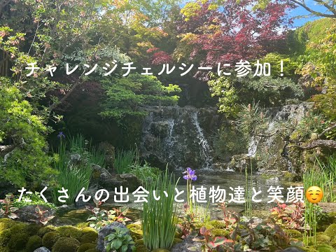 埋め込み式屋外照明リビングルームの庭の下