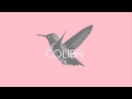 SNSD - Time Machine (cover by Colibri) 