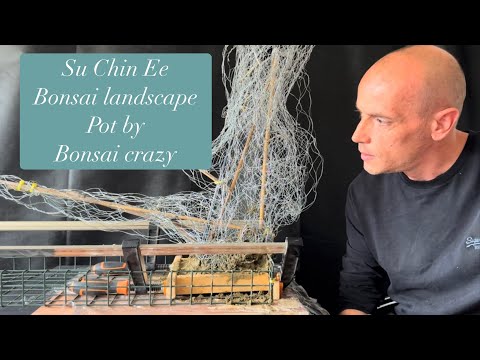 Su Chin Ee landscape pot by bonsai crazy
