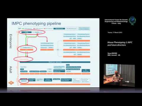 S. Brown - Mouse Phenotyping 2_ IMPC and future directions