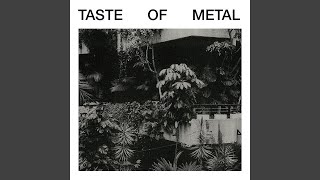 Taste Of Metal