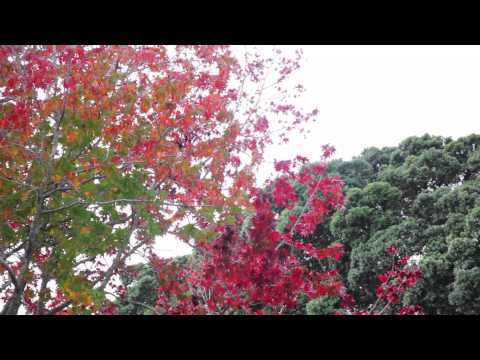 SOLD - 302/28 Balfour Road, Parnell - Cindy Yu and Bobby McMillan