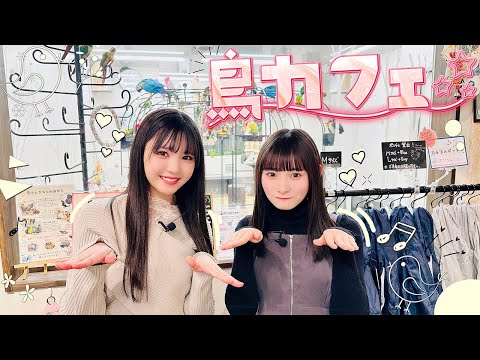 鳥のいるカフェ 千駄木店