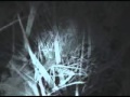 Dismantled - Dystopia