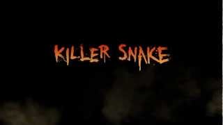KILLER SNAKE free online game on