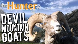 the Hunter - The Mountain Is Out To Kill Me ! - Alpine Ibex Hunting