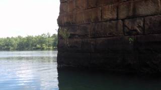 preview picture of video 'Raccoon Swimming Savannah River'
