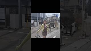 #パイスラ　#散歩　#乳揺れ　#乳　#神乳　#爆乳　#巨乳