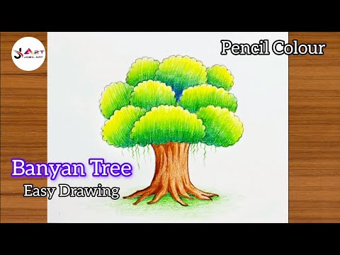 How to draw and colour tree / Banyan tree easy drawing / Realistic tree drawing 