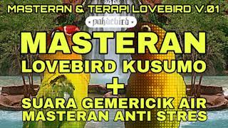 Download lagu Masteran   Terapi !!! Masteran Lovebird Kusumo mp3