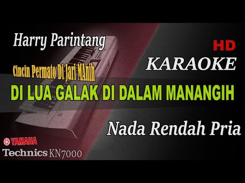 DI LUA GALAK DI DALAM MANANGI - HARRY PARINTANG ( NADA RENDAH PRIA ) || KARAOKE