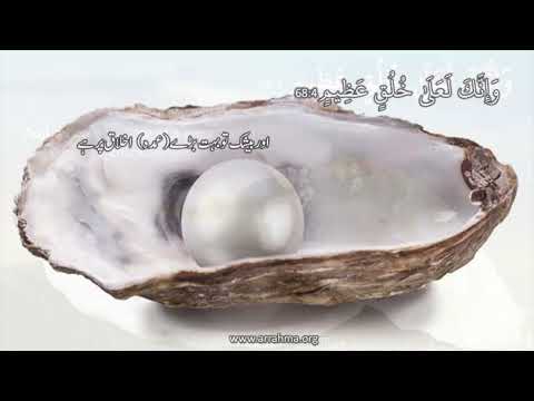 Al Misbah Course Lesson 387 Tafseer of Surah Al Qalam Ayah 4 7 by Ustazah Najiha Hashmi